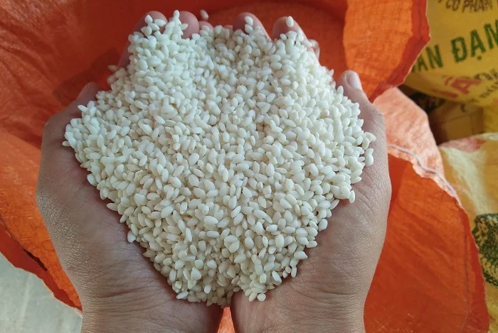 Ảnh minh họa nếp nhung