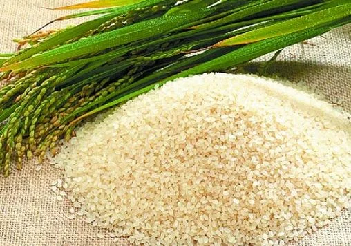 Ảnh minh họa nếp nương điện biên