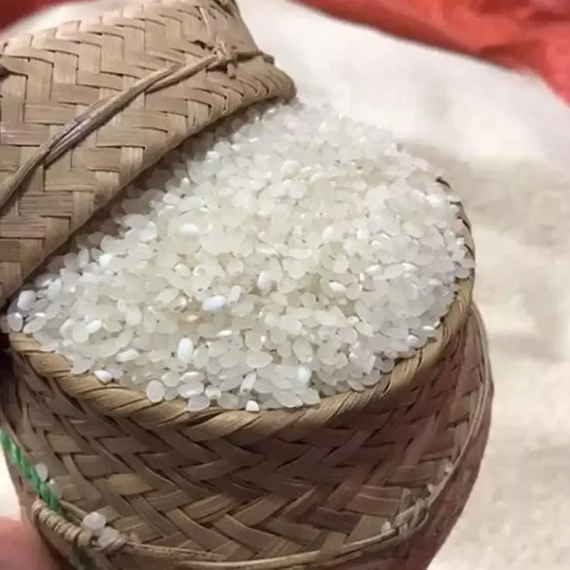 Ảnh minh họa nếp tú lệ
